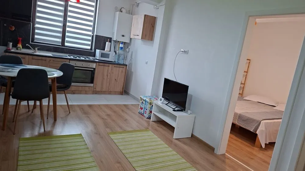 Apartament 2 Camere Open Space cu Parcare â€“ Valea Lupului - foto 3
