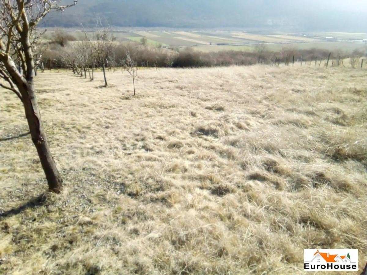 OPORTUNITATE! TEREN EXTRAVILAN ZONA SARD - AMPOITA - foto 3