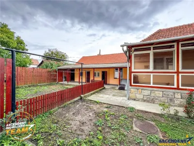 FILM&3D! Casa ospitaliera,curte si gradina asortata,arie linistita,Simeria,Sfantu Gheorghe - foto 22