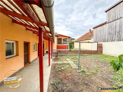 FILM&3D! Casa ospitaliera,curte si gradina asortata,arie linistita,Simeria,Sfantu Gheorghe - foto 24