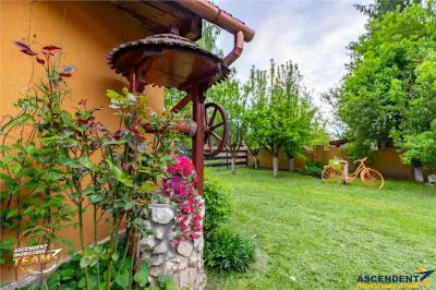 Vila ce incorporeaza anexe gospodaresti si cu potential turistic, in inima statiunii Covasna - foto 10