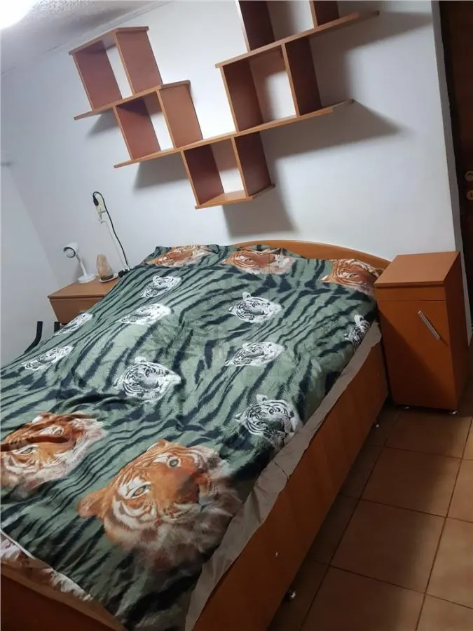 CALEA MARTIRILOR, CASA INDIVIDUALA, 4 CAMERE, 2 BAI, 2 BUCATARII - foto 3