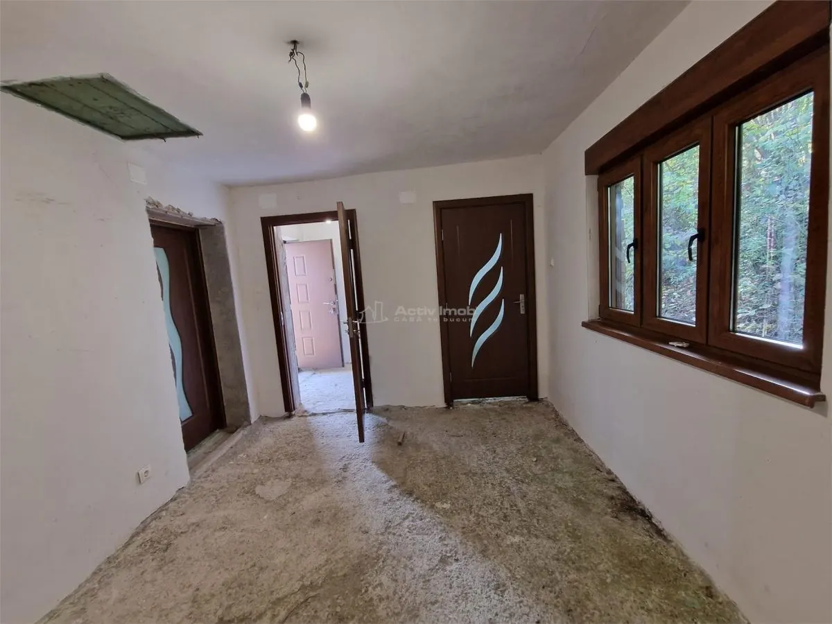 Resita Casa cu Teren privat 4670 Mp. - foto 3