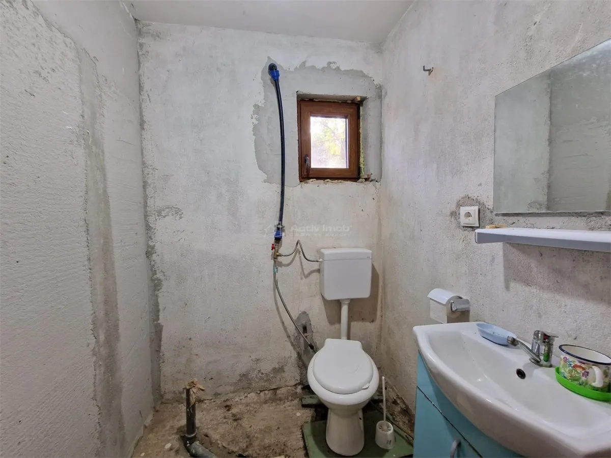 Resita Casa cu Teren privat 4670 Mp. - foto 9