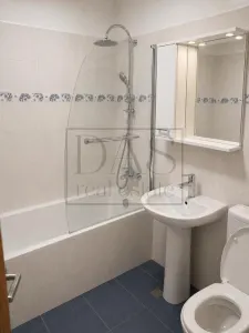 Apartament 2 camere | Stefan cel Mare | metrou Obor | bloc 1982 - foto 13