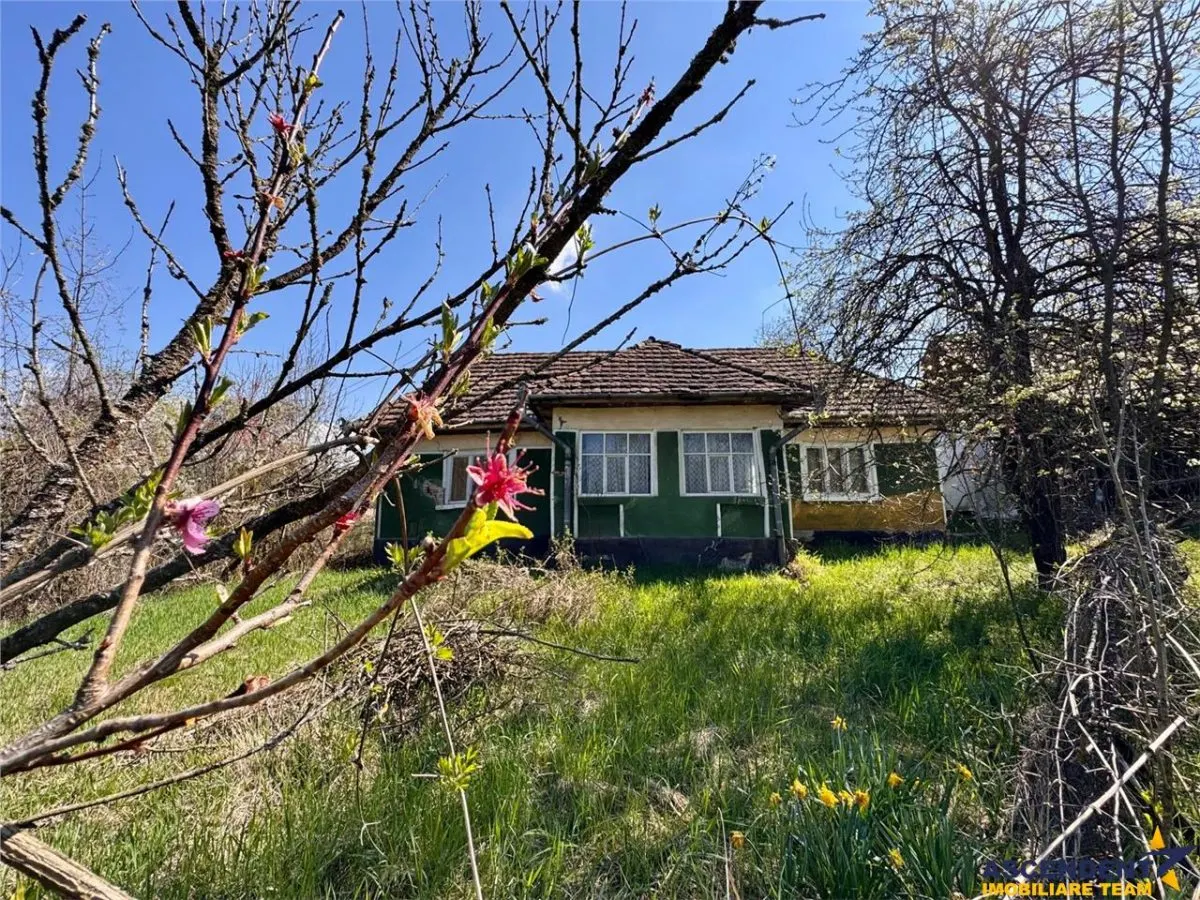 Casa traditionala,zona pitoreasca,domeniu de 3.400 mp,Suveica,Acatari,Mures - foto 14