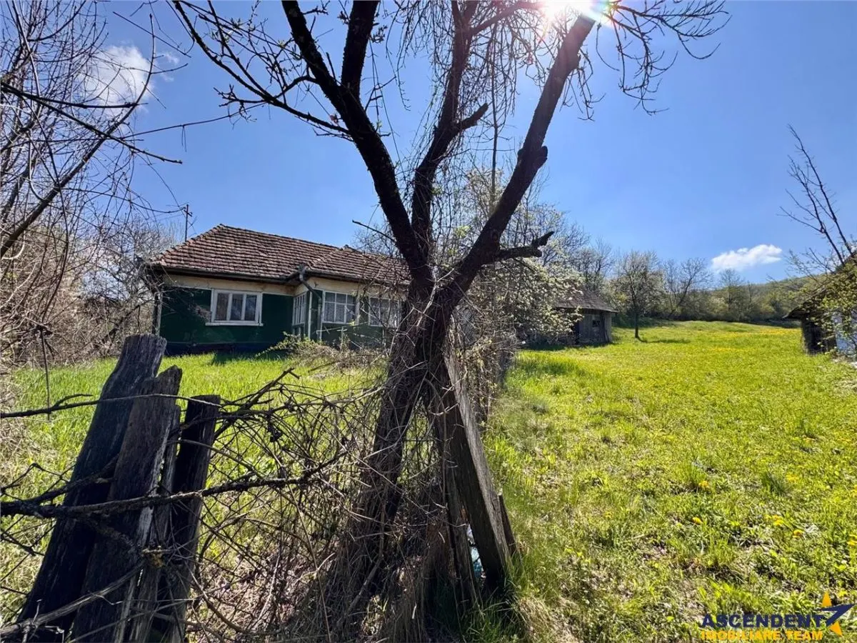 Casa traditionala,zona pitoreasca,domeniu de 3.400 mp,Suveica,Acatari,Mures - foto 15