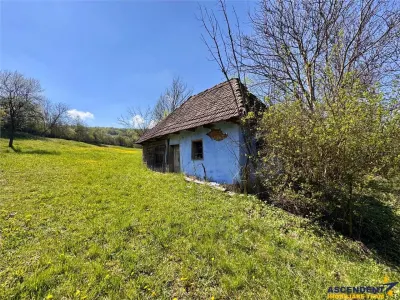 Casa traditionala,zona pitoreasca,domeniu de 3.400 mp,Suveica,Acatari,Mures - foto 19