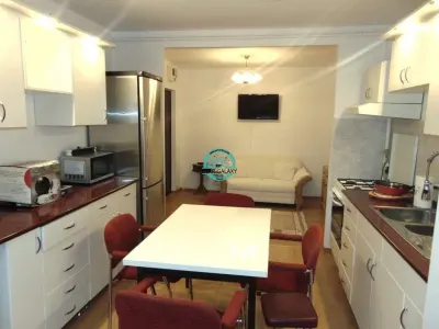 Inchiriez apartament cu 3 camere, decomandat in Cornisa, et, 2,la 5 min de UMF - foto 4
