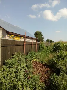 Teren, Zapodia,Traian Bacau - foto 2