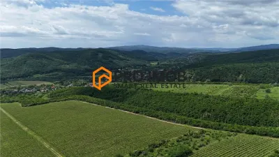 Teren extravilan-arabil zona Mierea - Vernesti