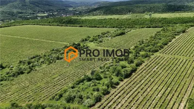 Teren extravilan-arabil zona Mierea - foto 2