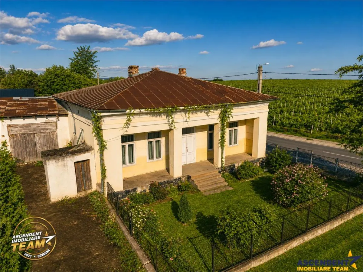FILM! Domeniu de 4.000 mp intravilan+ casa autentica, in podgoriile Odobesti,Vrancea - foto 4
