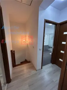 Proprietate deosebita de vanzare | Casa, 13.200 mp teren, doua iazuri cu peste | Raducaneni, Iasi - foto 18