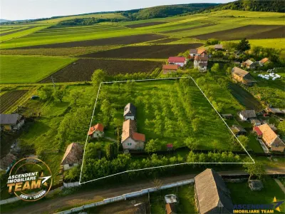FILM! 5.000mp teren intravilan cu casuta rustica, Dalnic, Covasna - foto 19
