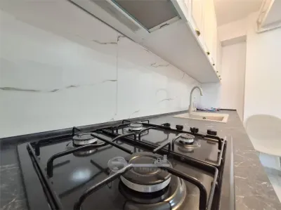 Liber, mobilat, de vanzare apartament 2 camere, Cug Pepiniera - foto 11