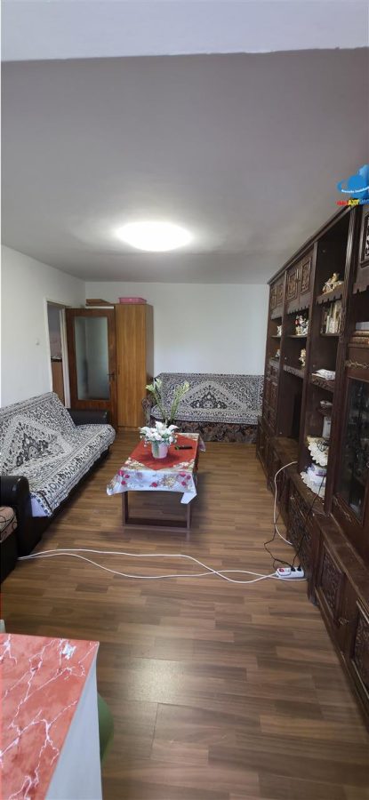 APARTAMENT 2 CAMERE DE INCHIRIAT SEBASTIAN - foto 14