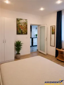 Garsoniera la casa, mobilata, 38mp, cu teren 20mp, Centrul Istoric, Brasov - foto 6