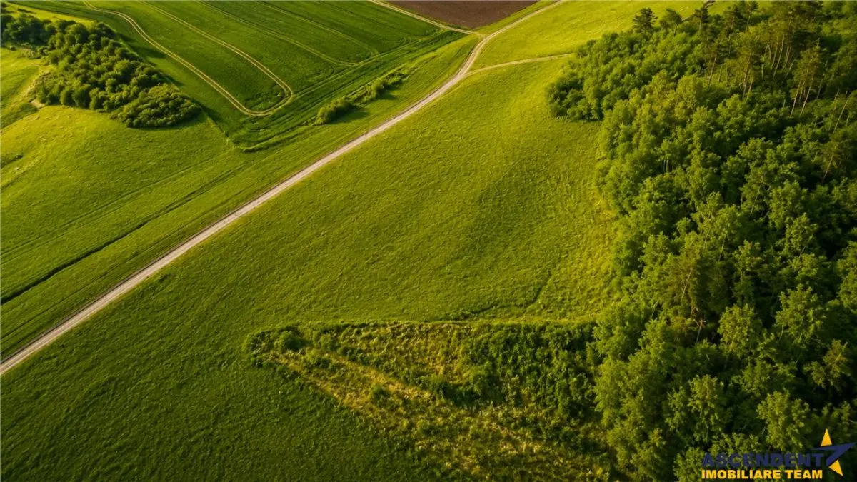 6.000 mp teren granitat de liziera compacta de padure, ecran natural de liniste, view pretios, - foto 4