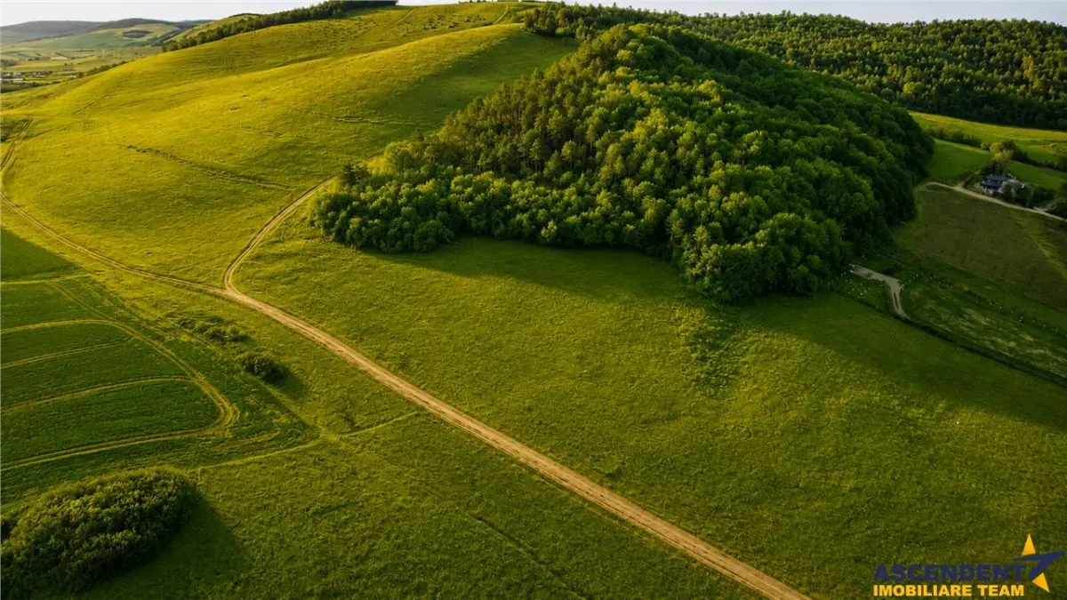 6.000 mp teren granitat de liziera compacta de padure, ecran natural de liniste, view pretios, - foto 6