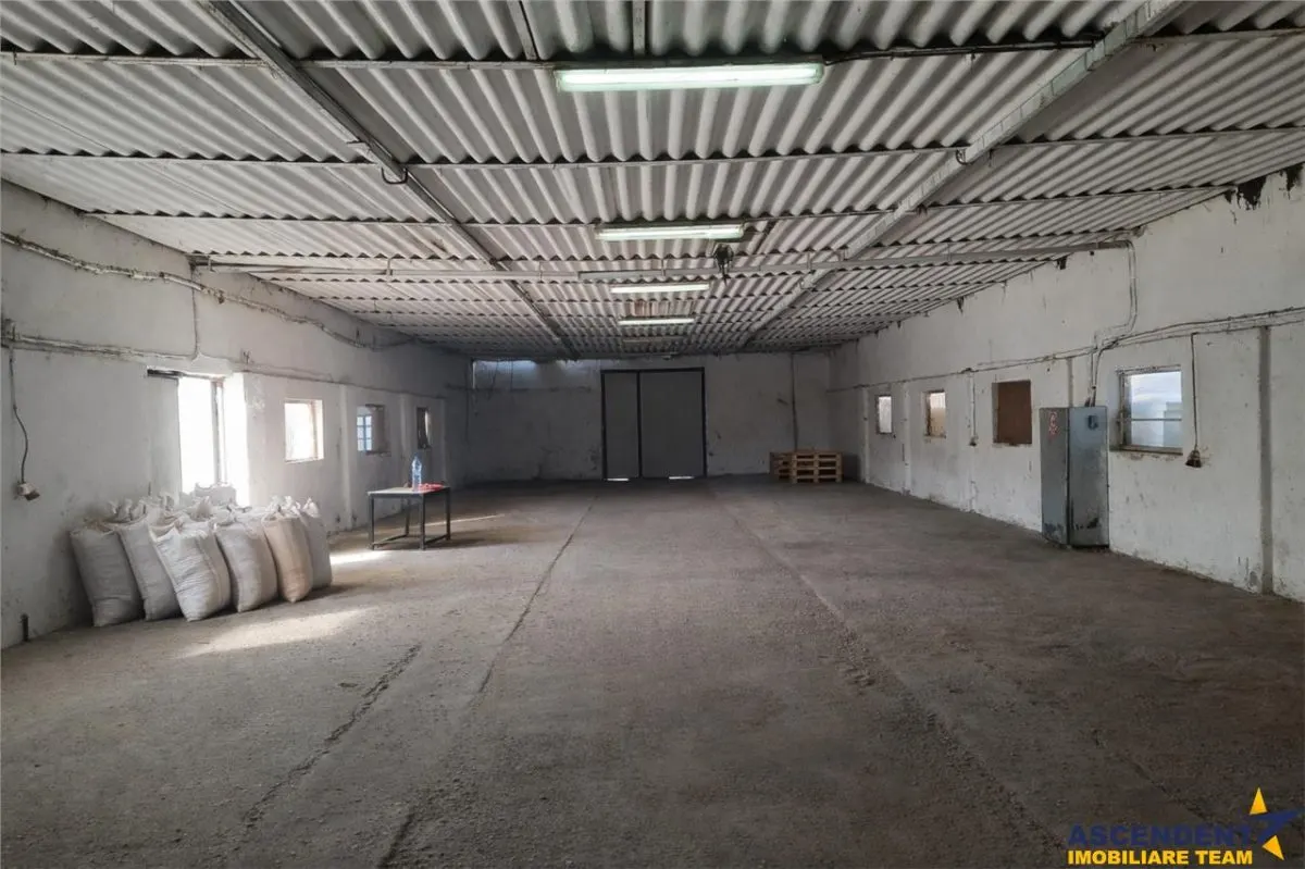 Hala industriala versatila,spatii cazare, platforma betonata,2.300 mp,Halchiu - foto 9