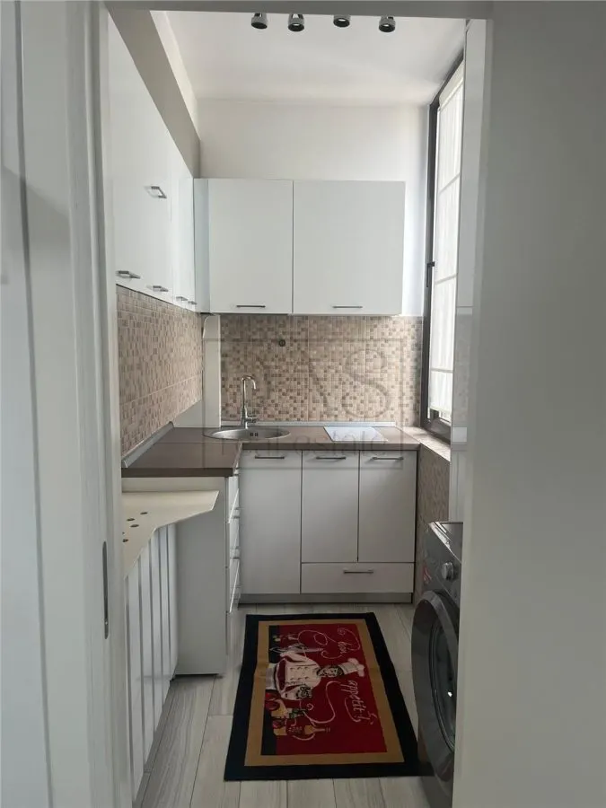 Studio Dublu | Piata Floreasca - Dorobanti - Putul Lui Zamfir - foto 3