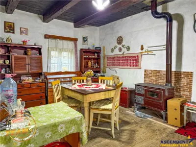 FILM! 3.000 mp teren intravilan cu proprietate traditionala de poveste,Zagon,Covasna - foto 4