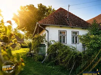 FILM! Proprietate traditionala,de poveste,cu 3.000 mp teren intravilan,Zagon,Covasna - Zagon
