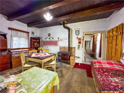 FILM! Proprietate traditionala,de poveste,cu 3.000 mp teren intravilan,Zagon,Covasna - foto 17