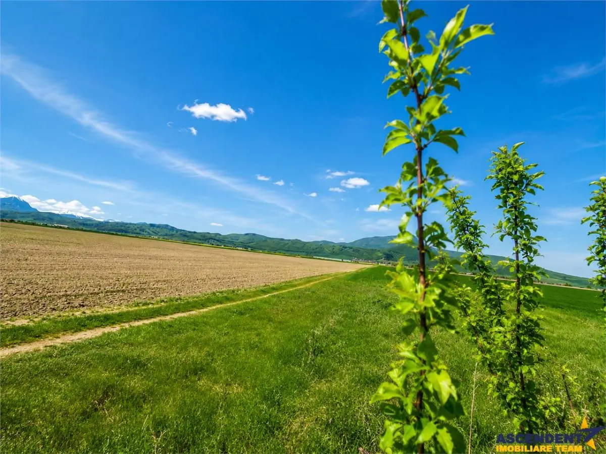 Oportunitate investitie! Teren 47.577 mp, Codlea . Ghimbav, pozitie excelenta la DN 11 - foto 4