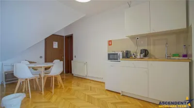 Rezidenta/ Pensiune/ Resedinta protocol, Central Brasov - foto 15