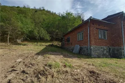 Teren, padure si casa in Dumbrava de Jos, jud. Hunedoara - foto 6