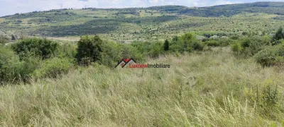 Teren Intravilan 586 mp în Rădaia ! Doar 29.000 â‚¬ ! Zonă în plina dezvoltare! - foto 3