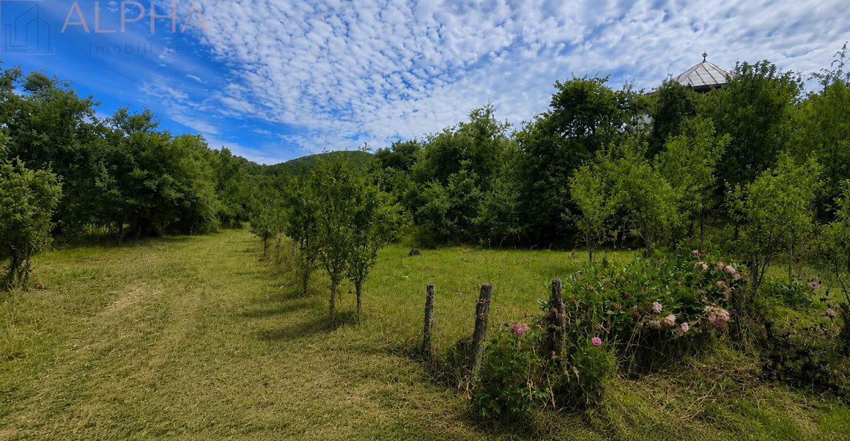 CASA CU TEREN GENEROS IN HERINA, BN â€“ OPORTUNITATE DE INVESTITIE TURISTICA SAU REZIDENTIALA - foto 17