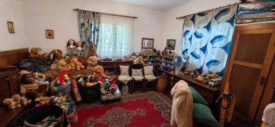 CASA CU TEREN GENEROS IN HERINA, BN â€“ OPORTUNITATE DE INVESTITIE TURISTICA SAU REZIDENTIALA - foto 7