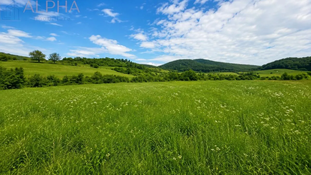 CASA CU TEREN GENEROS IN HERINA, BN â€“ OPORTUNITATE DE INVESTITIE TURISTICA SAU REZIDENTIALA - foto 8