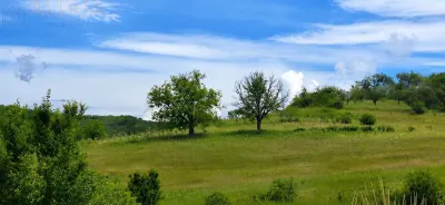 CASA CU TEREN GENEROS IN HERINA, BN â€“ OPORTUNITATE DE INVESTITIE TURISTICA SAU REZIDENTIALA - foto 9