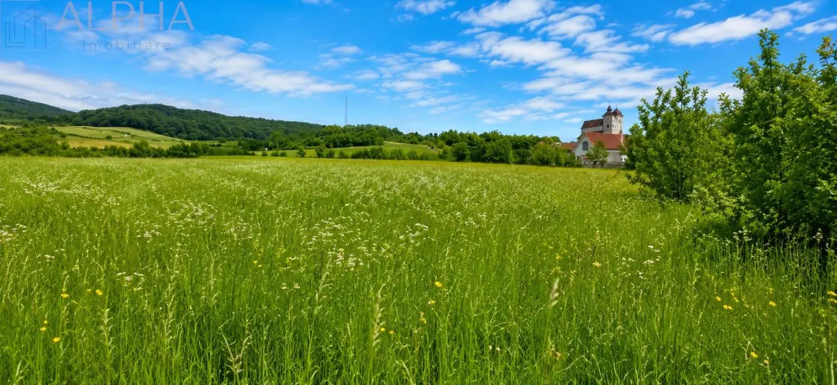 CASA CU TEREN GENEROS IN HERINA, BN â€“ OPORTUNITATE DE INVESTITIE TURISTICA SAU REZIDENTIALA - foto 10