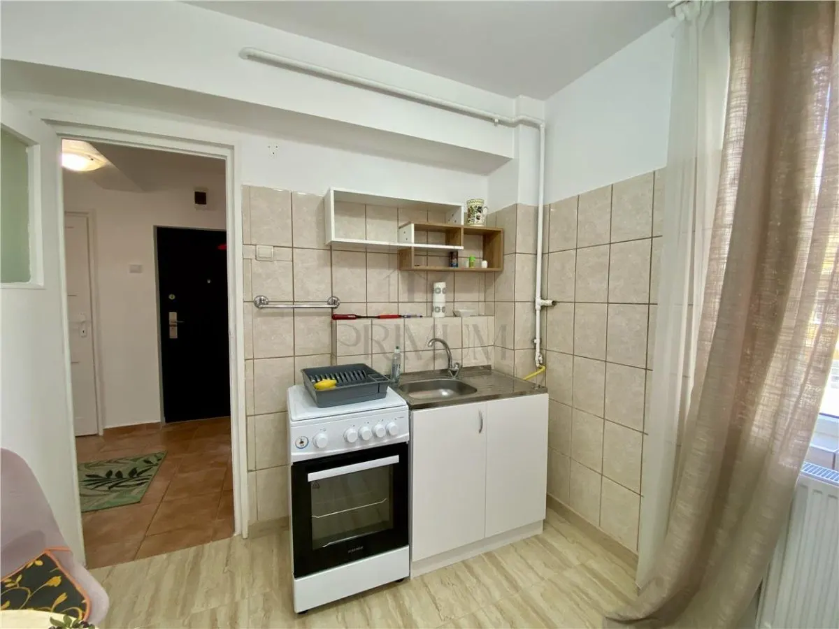 ULTRACENTRAL - 2 CAMERE - RENOVAT - DECOMANDAT - PET FRIENDLY - foto 5