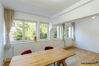 Spatii de birouri pentru afaceri care apreciaza profesionalismul - foto 8