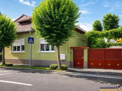 3D!Ansamblu casa+productie+comercial, 3 corpuri,acces stradal,Tudor,Targu Mures, potential ridicat - foto 1