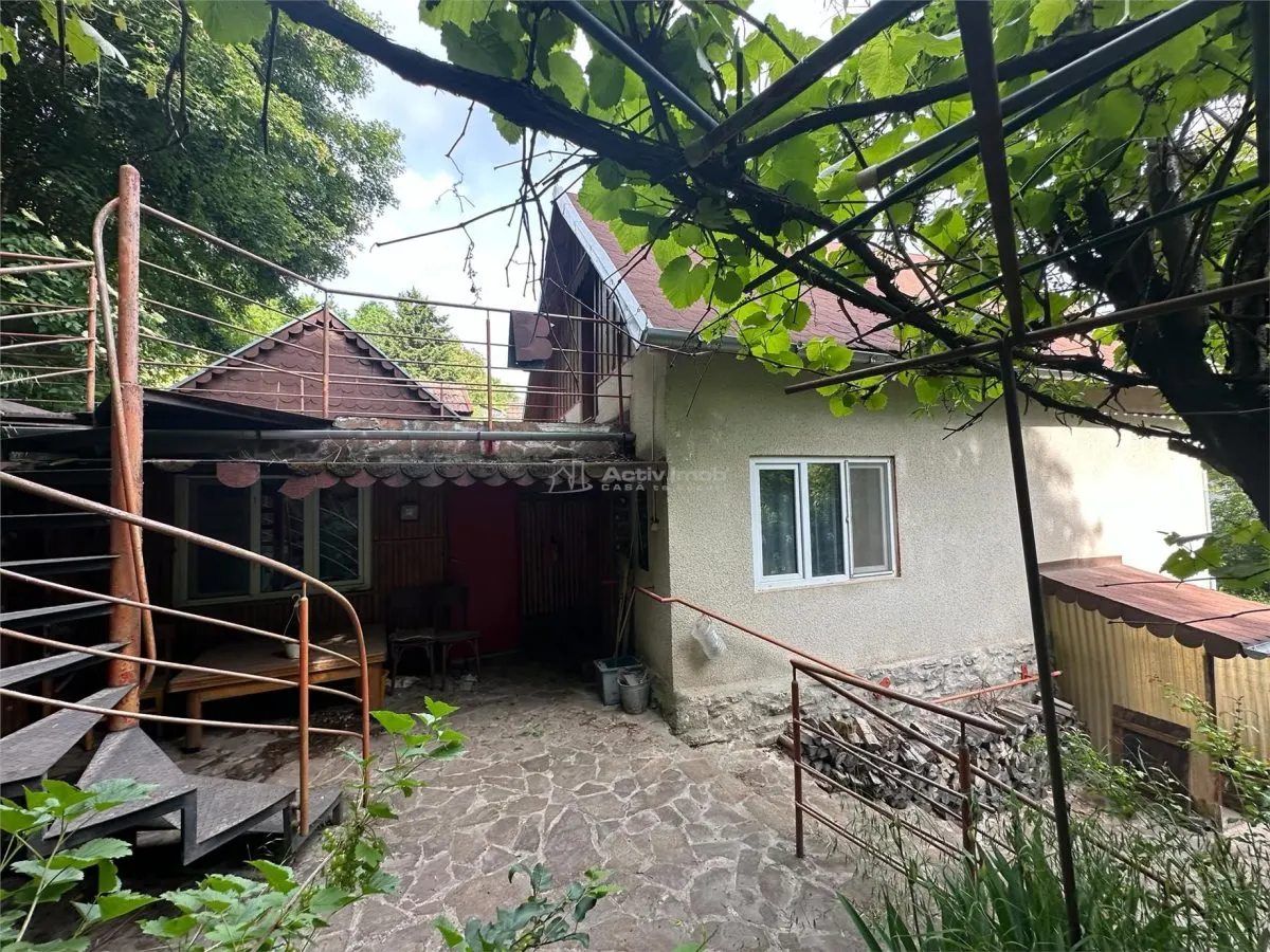 Casa Cocheta de vacanta, Dognecea - foto 1