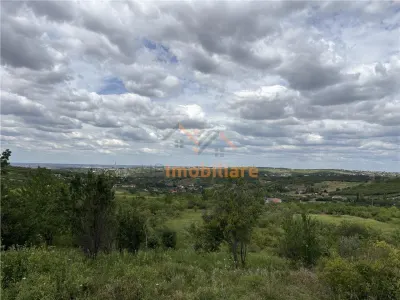 TEREN INTRAVILAN  |  1.824 MP  |  DEALURI  |  ORADEA - foto 2