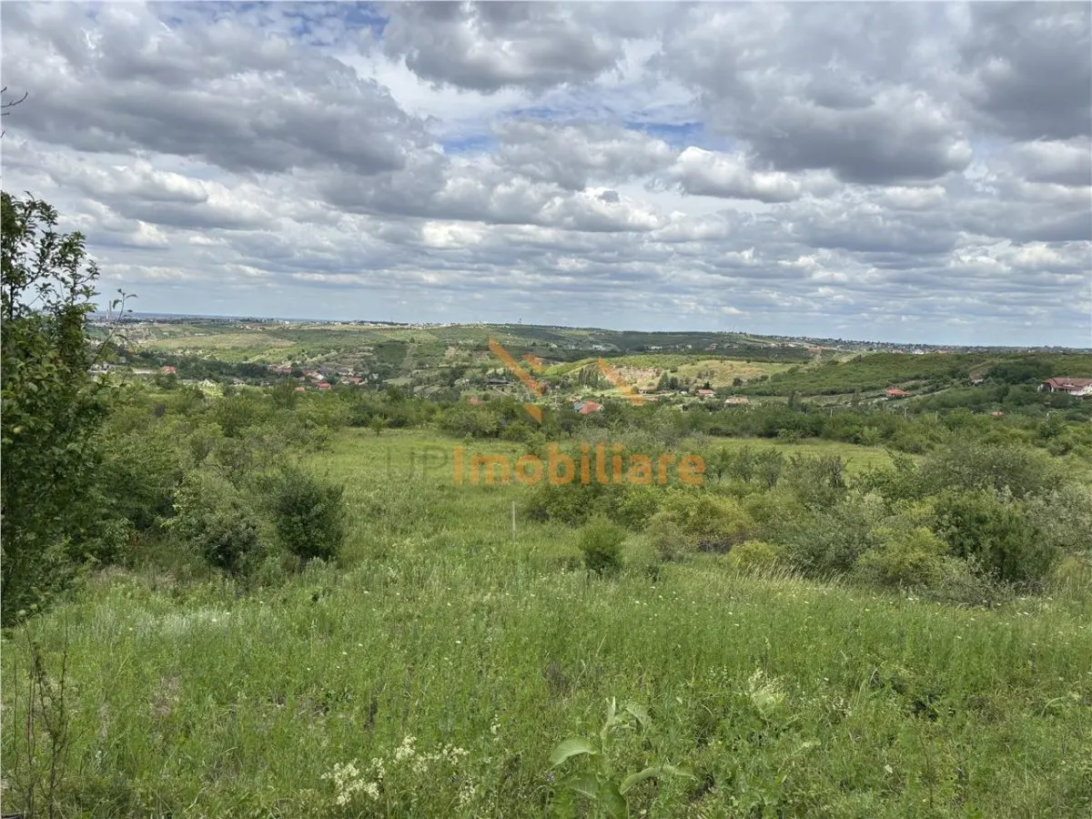 TEREN INTRAVILAN  |  1.824 MP  |  DEALURI  |  ORADEA - foto 3