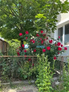 Apartament in casa inchiriere Fagaras Zona Centrala - foto 4