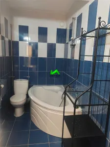 Apartament de inchiriat 2 camere Terezian - foto 8