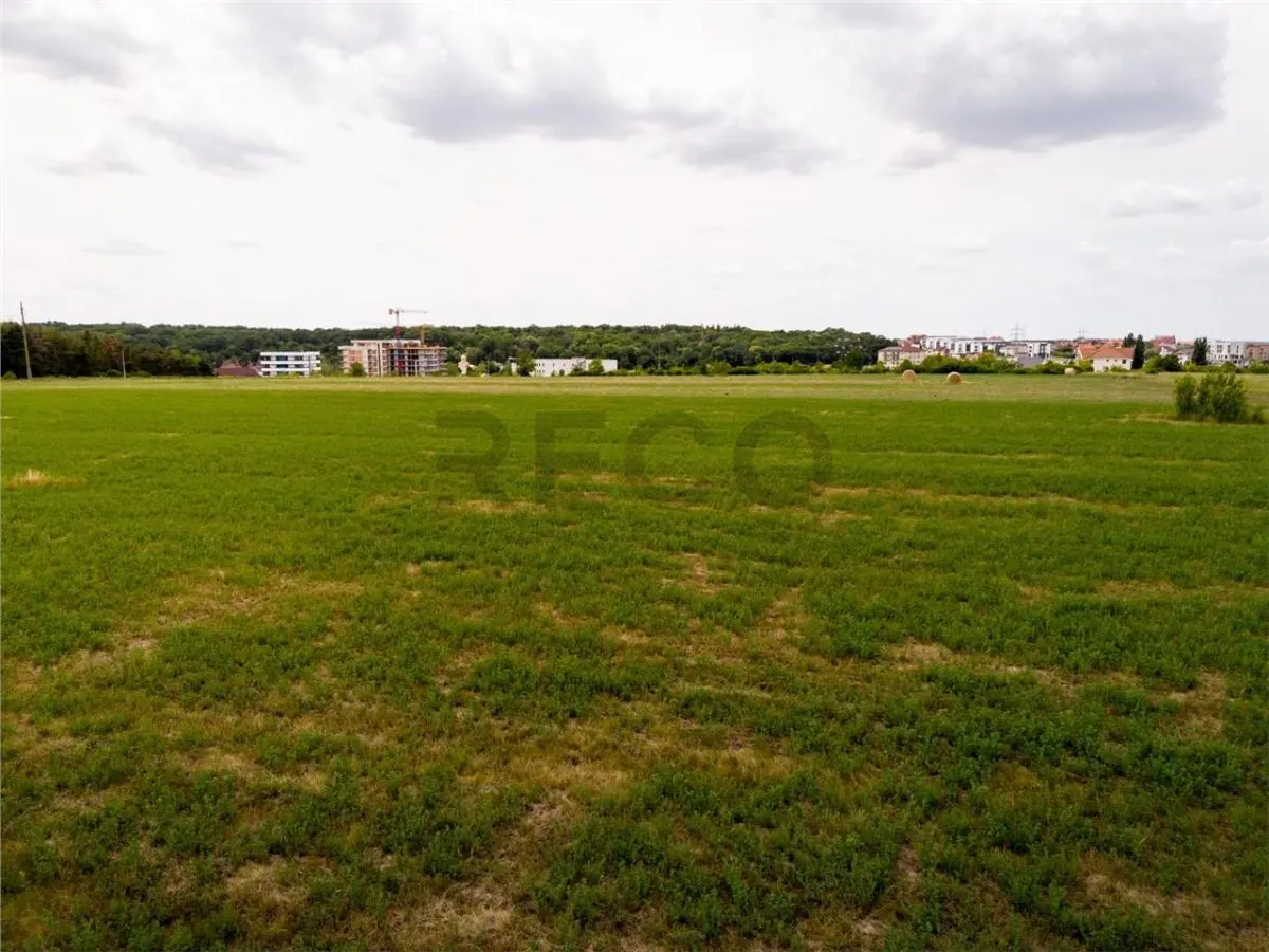 RECO Teren intravilan Haieu 4408mp - foto 14