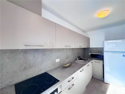 Apartament de inchiriat 2 camere One Herastrau Plaza - foto 7