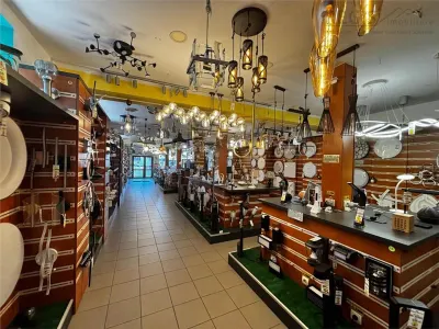 Spatiu Comercial + Casa rezidentiala +curte privata - foto 3
