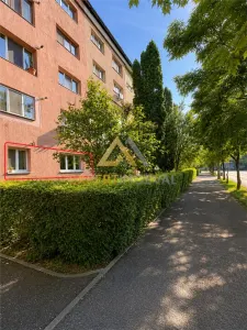 Apartament 3 camere parter inalt 64 mp utili Regele Ferdinand 105 - foto 11
